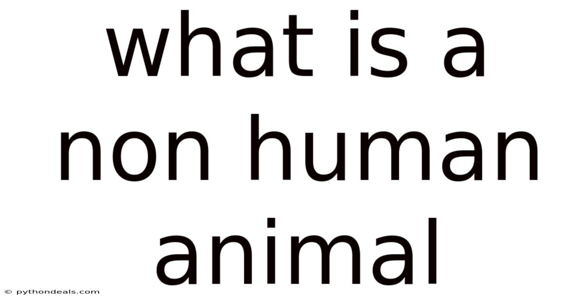 What Is A Non Human Animal
