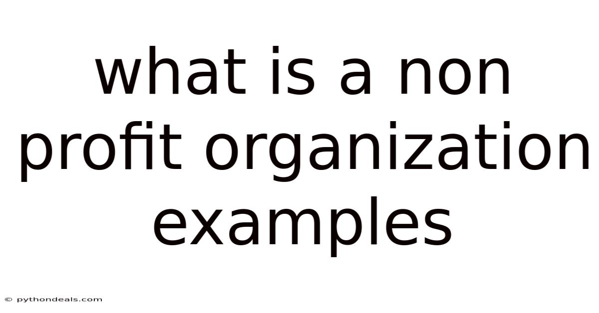 What Is A Non Profit Organization Examples