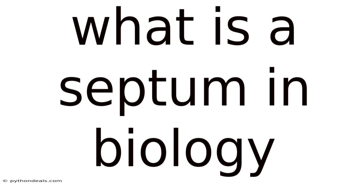 What Is A Septum In Biology