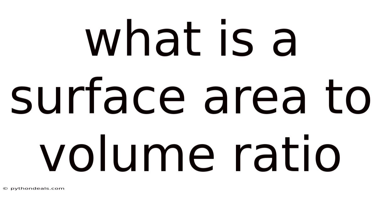 What Is A Surface Area To Volume Ratio