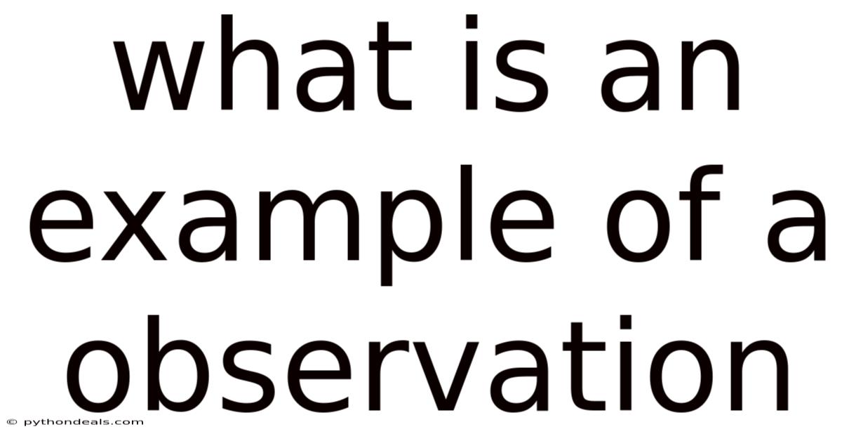 What Is An Example Of A Observation