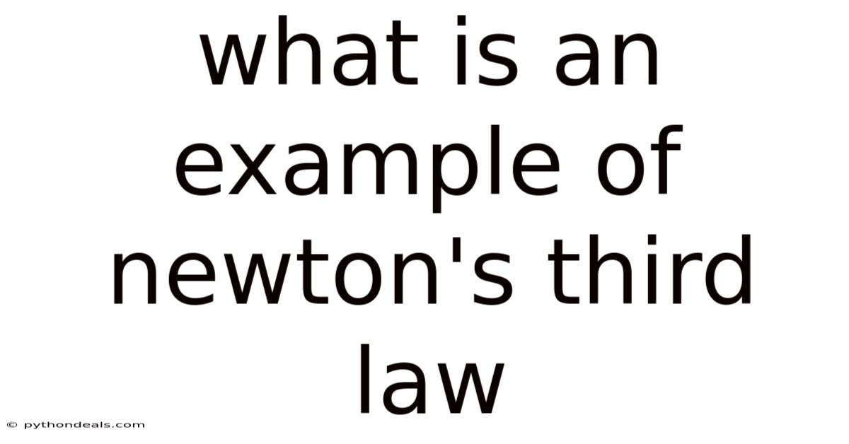 What Is An Example Of Newton's Third Law