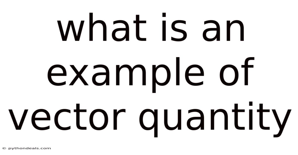 What Is An Example Of Vector Quantity