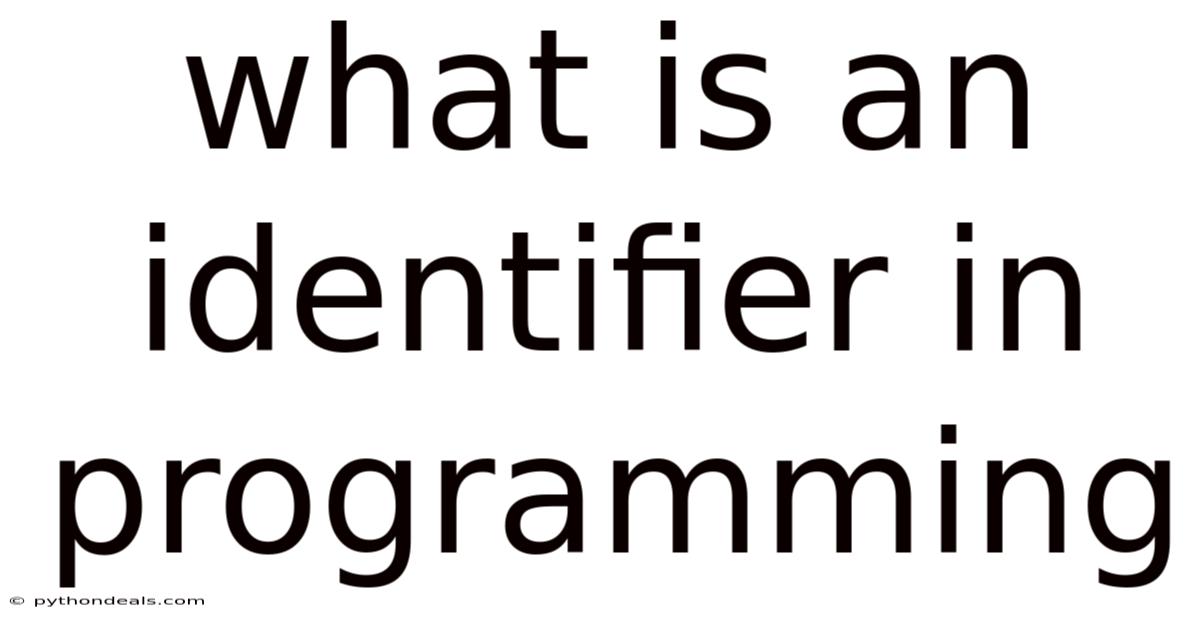What Is An Identifier In Programming