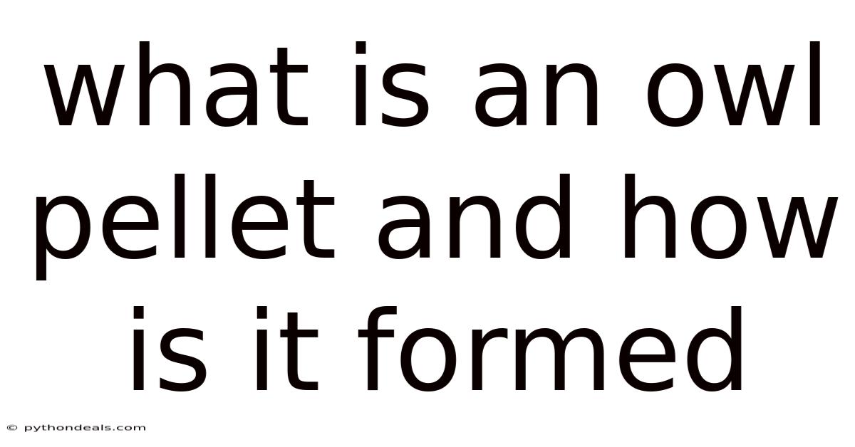 What Is An Owl Pellet And How Is It Formed