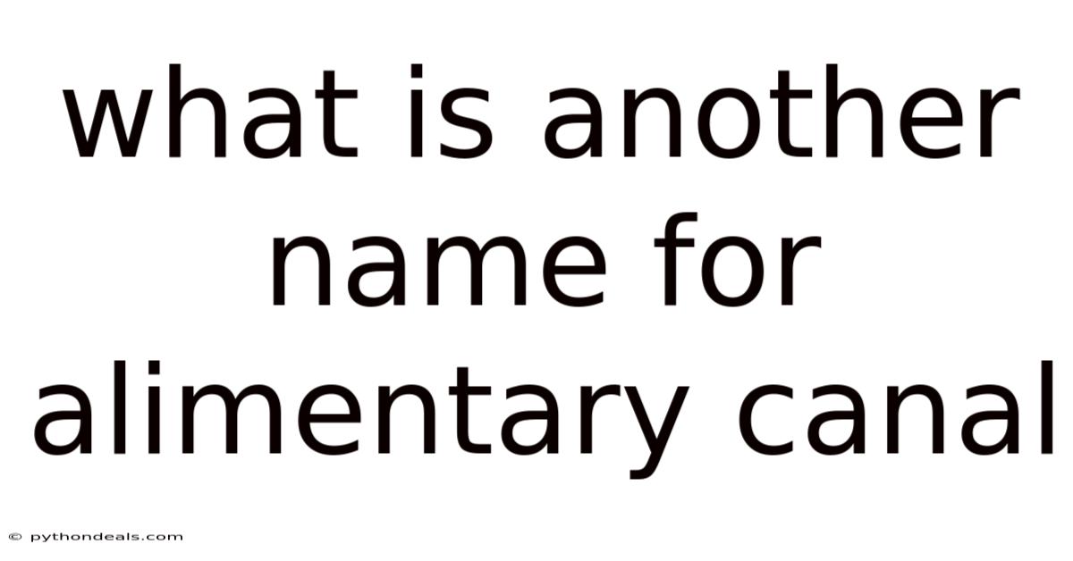 What Is Another Name For Alimentary Canal