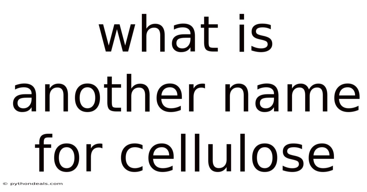 What Is Another Name For Cellulose