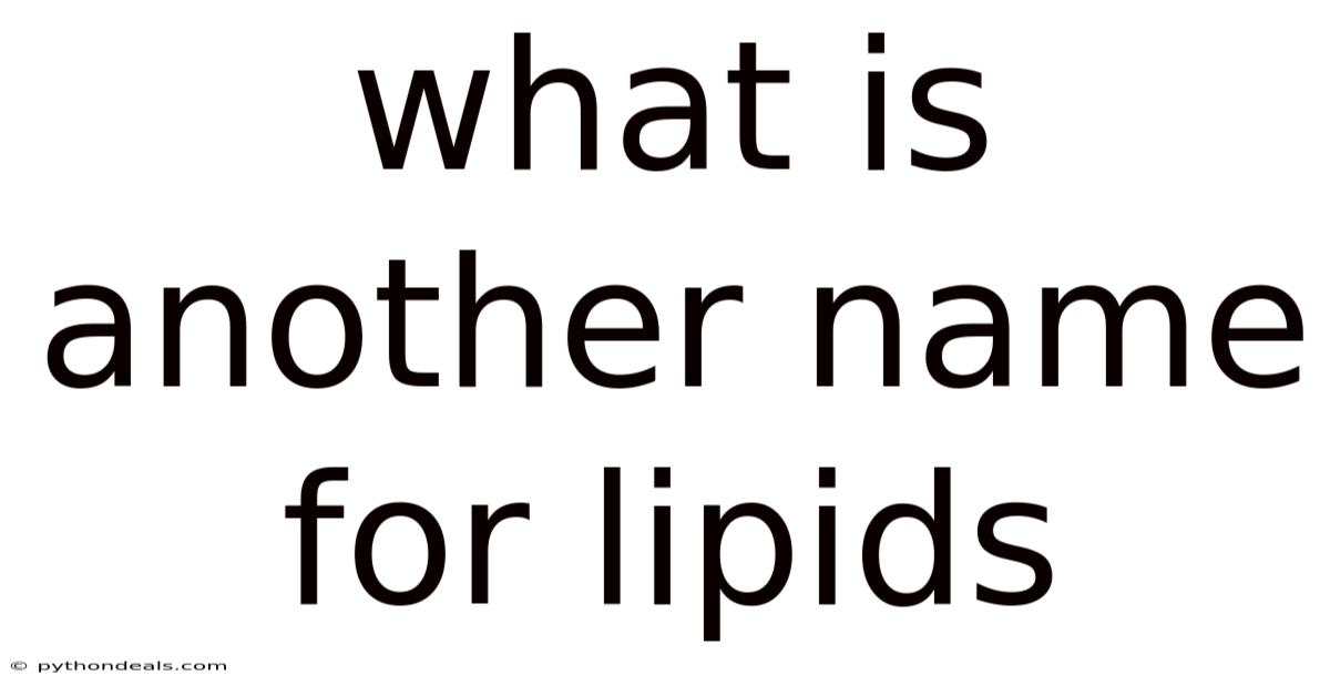 What Is Another Name For Lipids