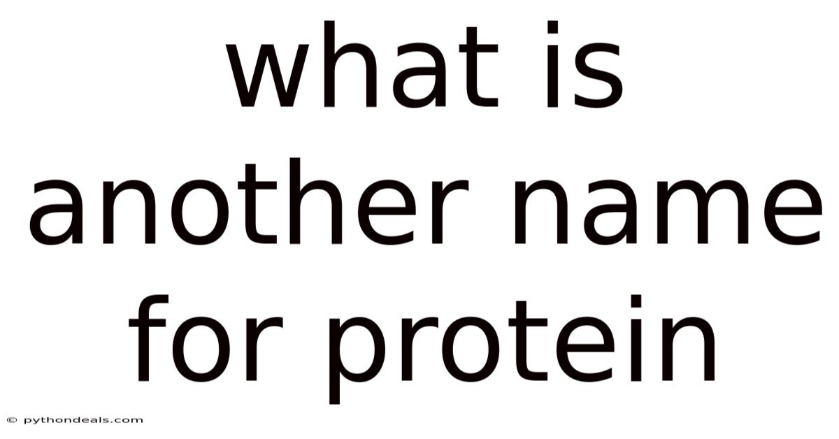 What Is Another Name For Protein