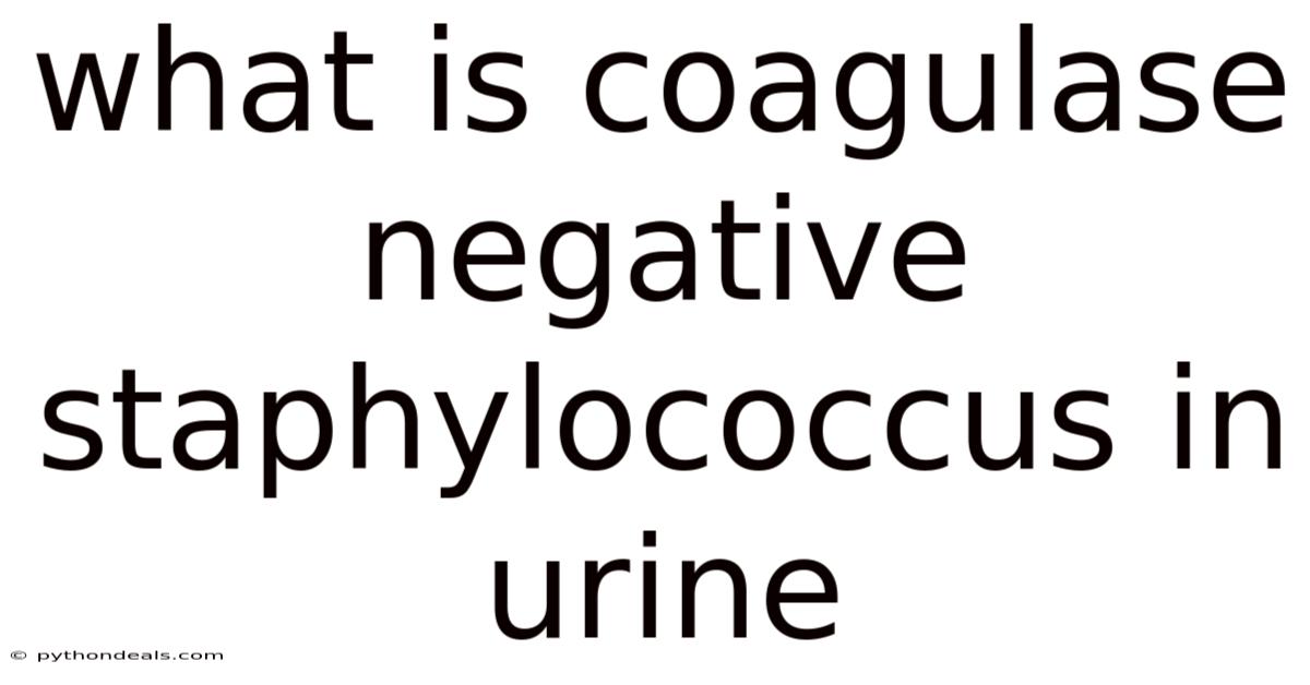 What Is Coagulase Negative Staphylococcus In Urine
