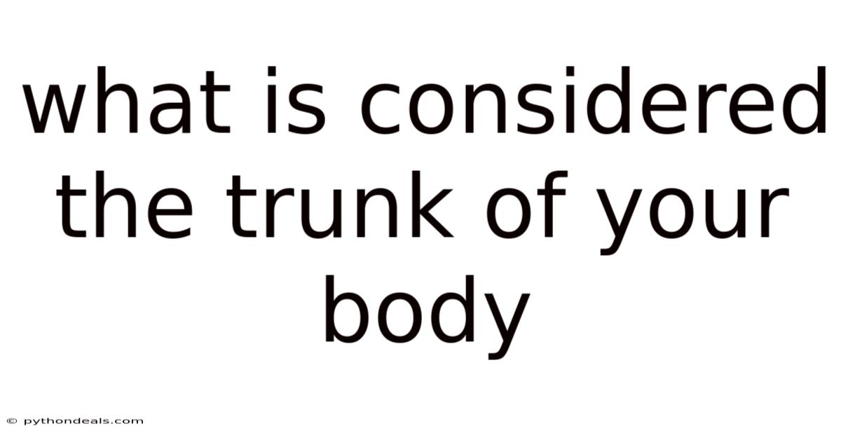 What Is Considered The Trunk Of Your Body