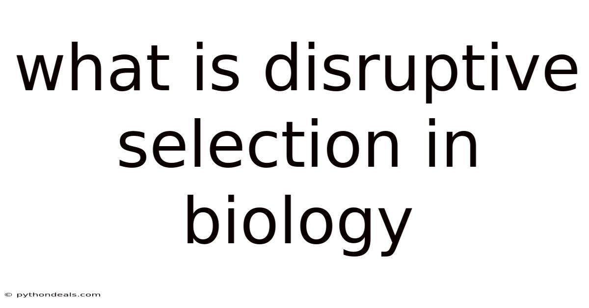 What Is Disruptive Selection In Biology
