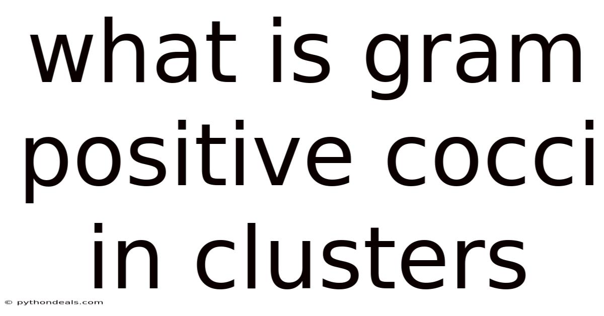 What Is Gram Positive Cocci In Clusters
