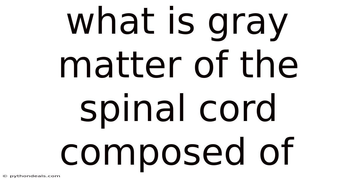 What Is Gray Matter Of The Spinal Cord Composed Of