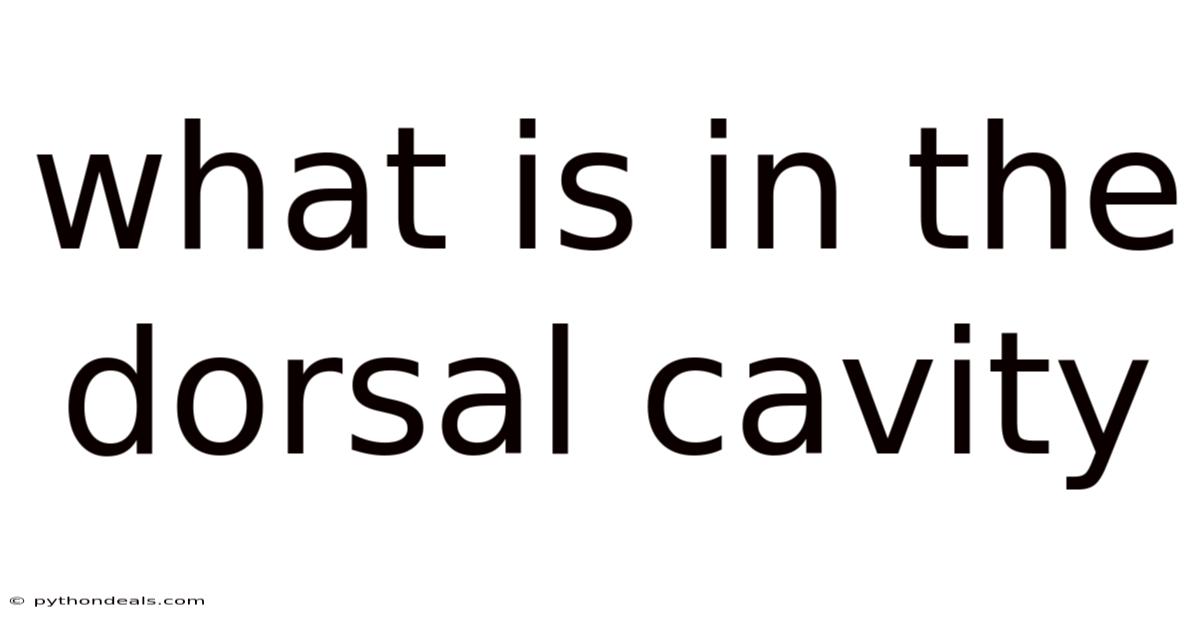 What Is In The Dorsal Cavity