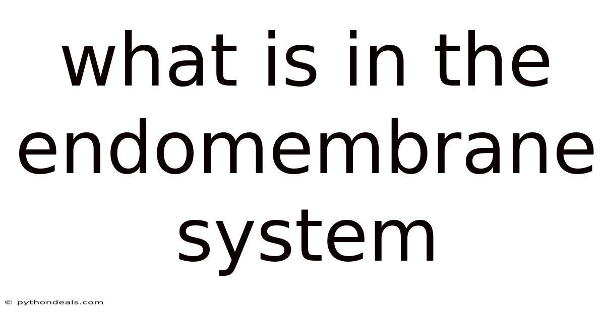 What Is In The Endomembrane System
