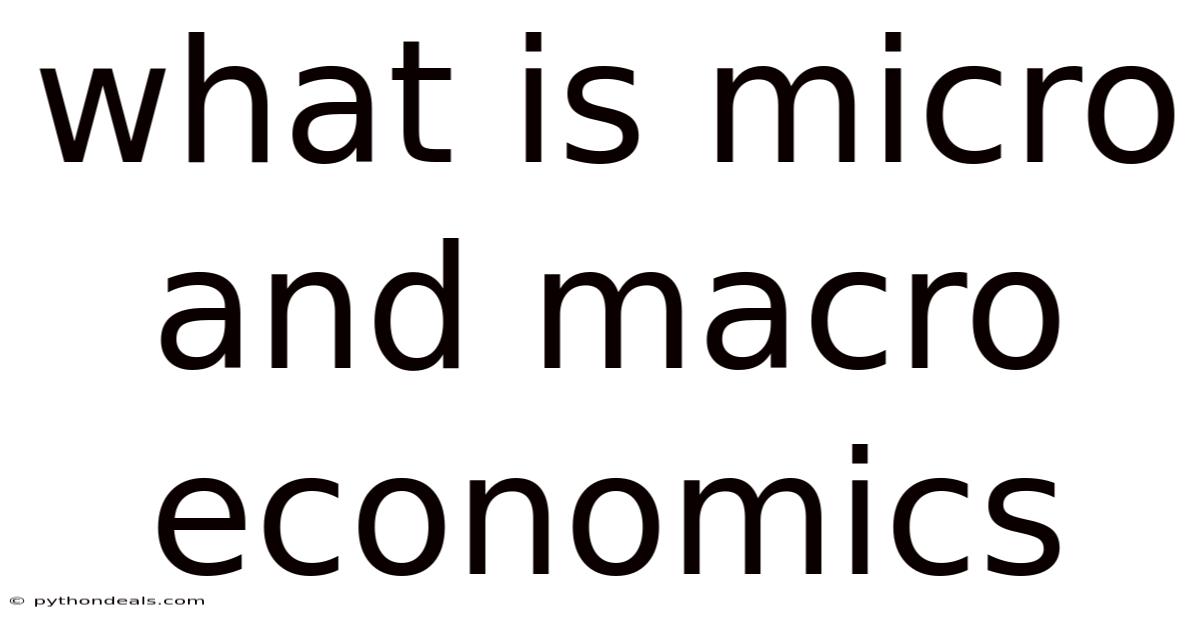 What Is Micro And Macro Economics