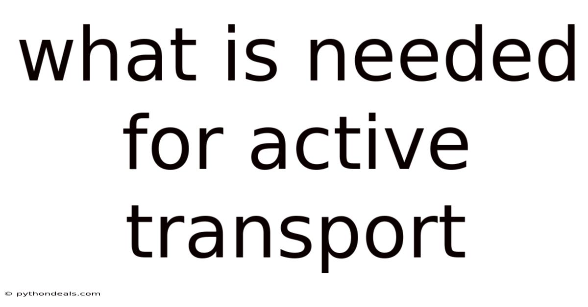 What Is Needed For Active Transport