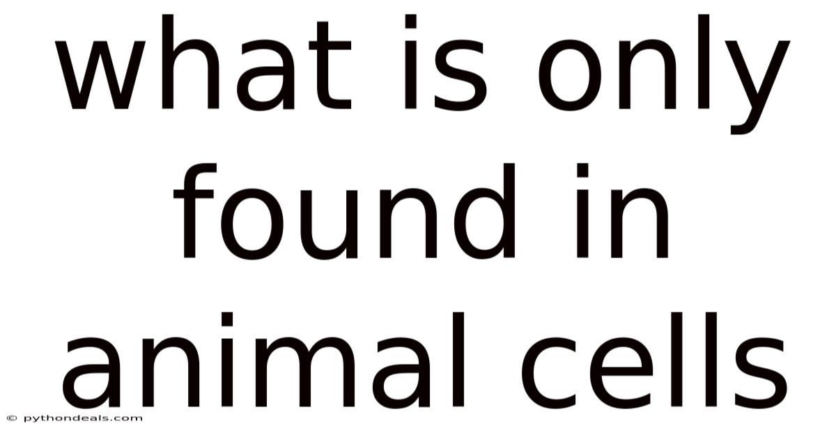 What Is Only Found In Animal Cells