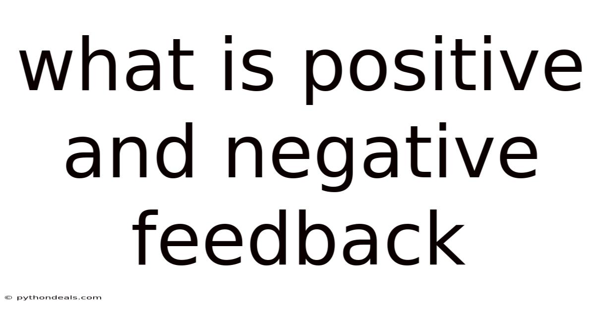 What Is Positive And Negative Feedback