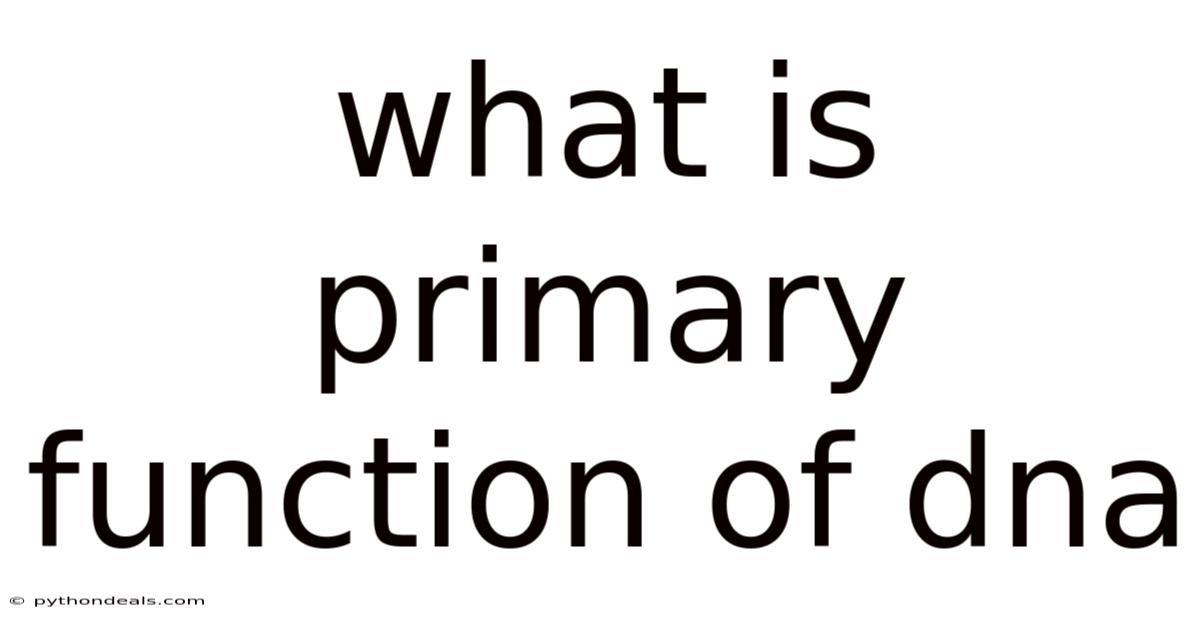 What Is Primary Function Of Dna