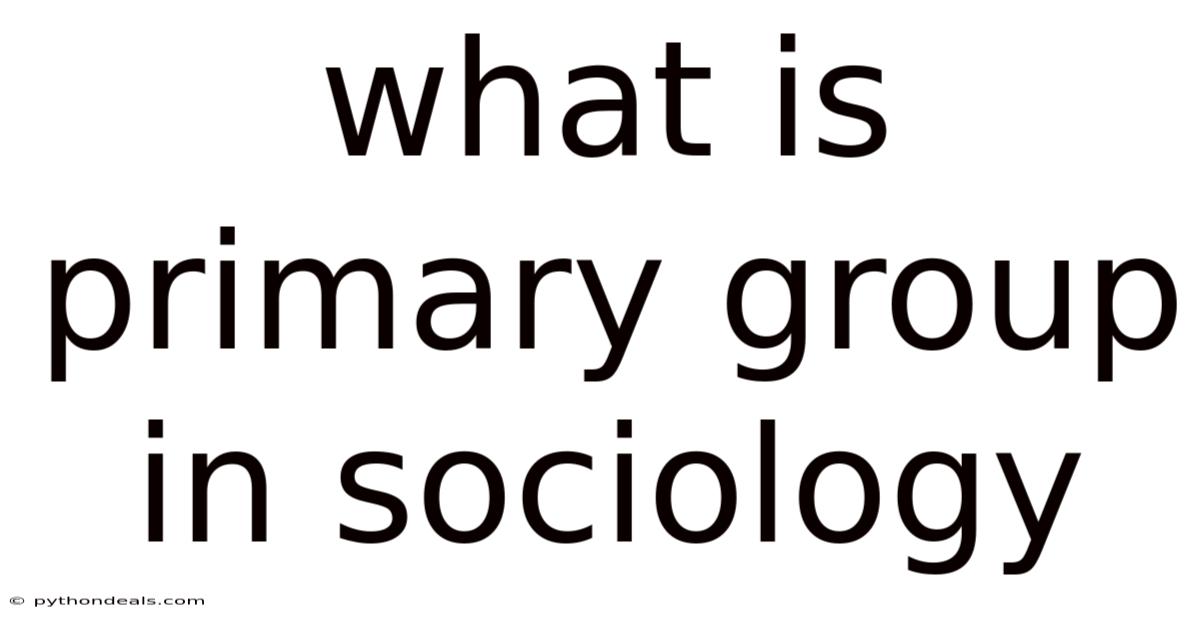 What Is Primary Group In Sociology