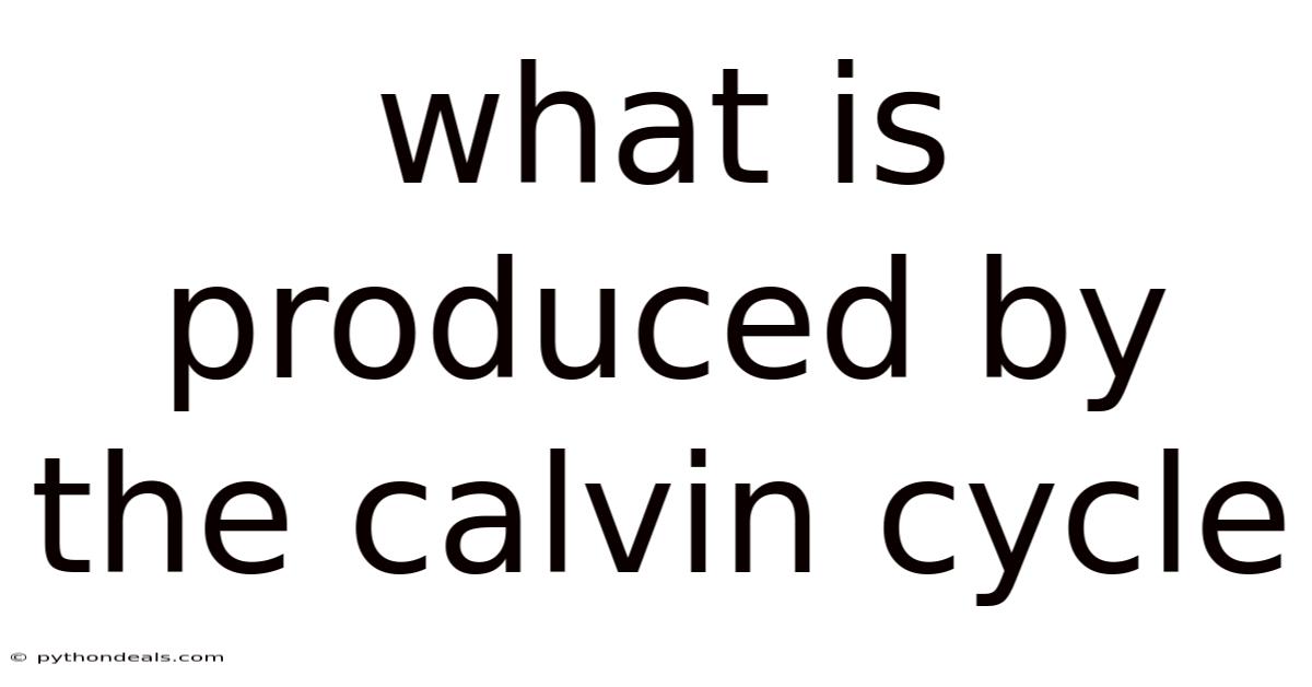 What Is Produced By The Calvin Cycle