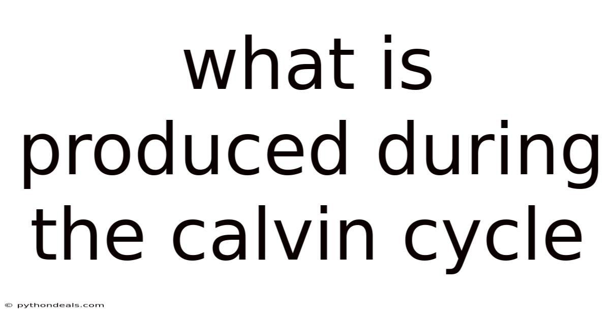 What Is Produced During The Calvin Cycle