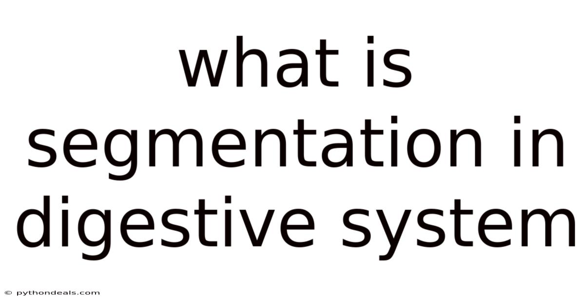 What Is Segmentation In Digestive System