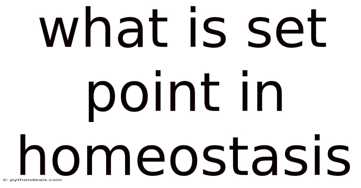 What Is Set Point In Homeostasis