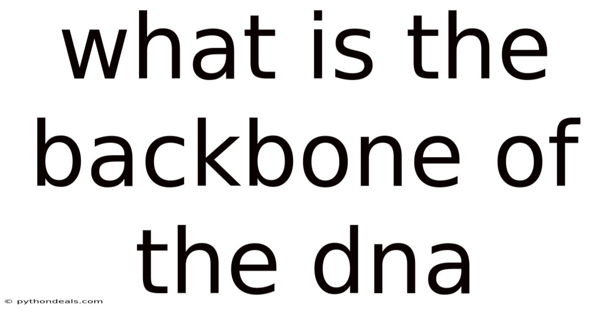 What Is The Backbone Of The Dna