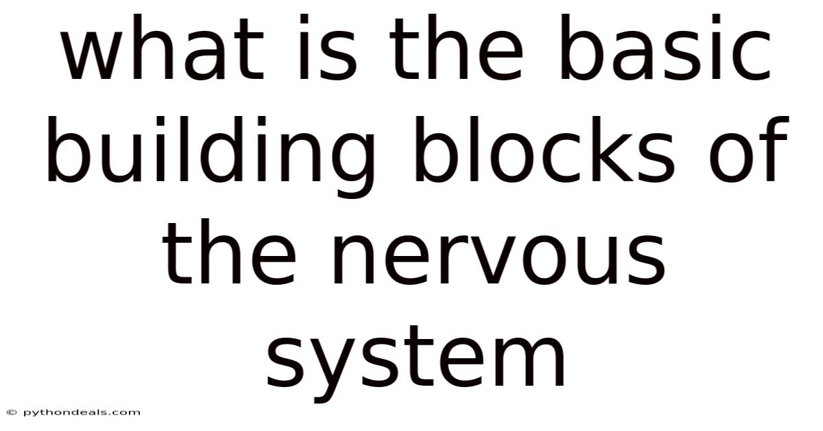 What Is The Basic Building Blocks Of The Nervous System