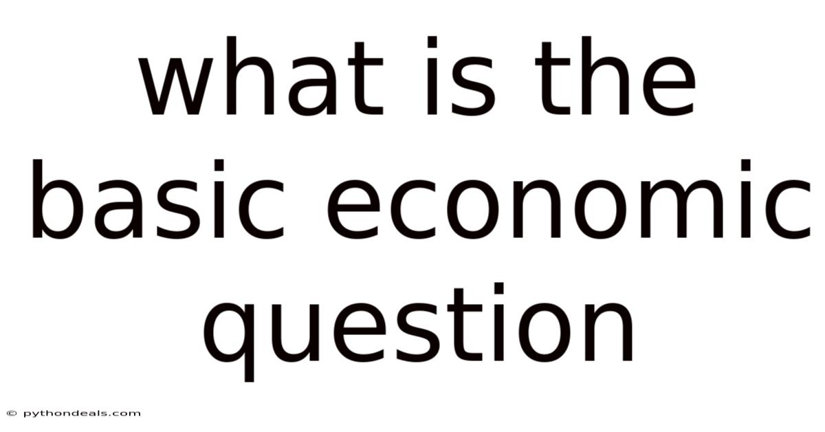 What Is The Basic Economic Question