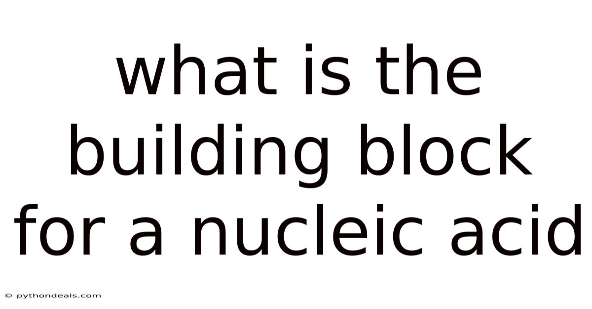 What Is The Building Block For A Nucleic Acid