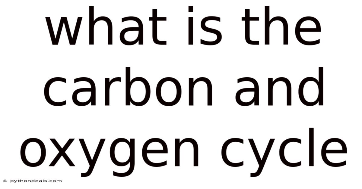 What Is The Carbon And Oxygen Cycle