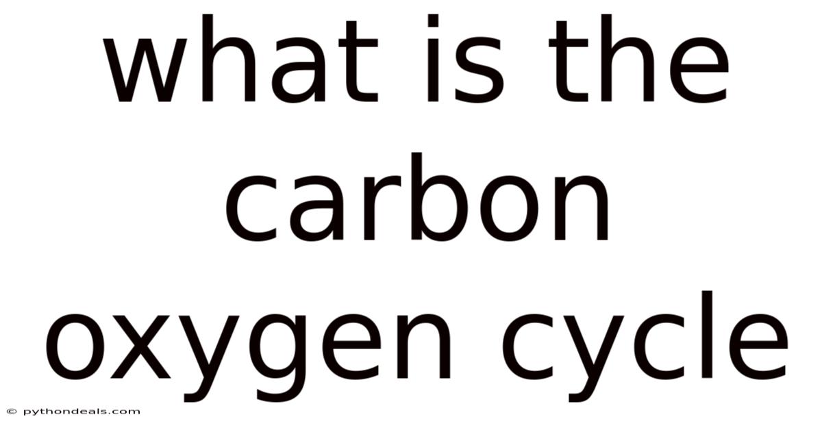 What Is The Carbon Oxygen Cycle