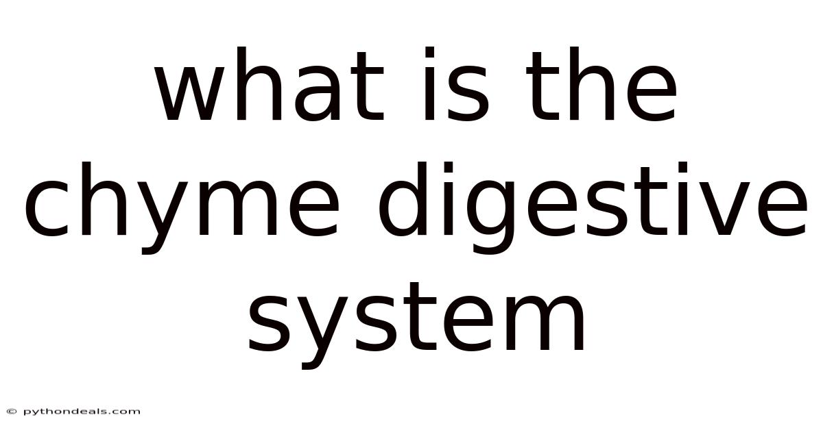 What Is The Chyme Digestive System