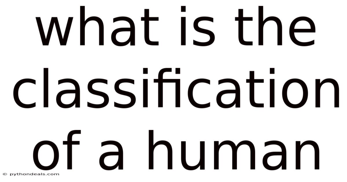 What Is The Classification Of A Human