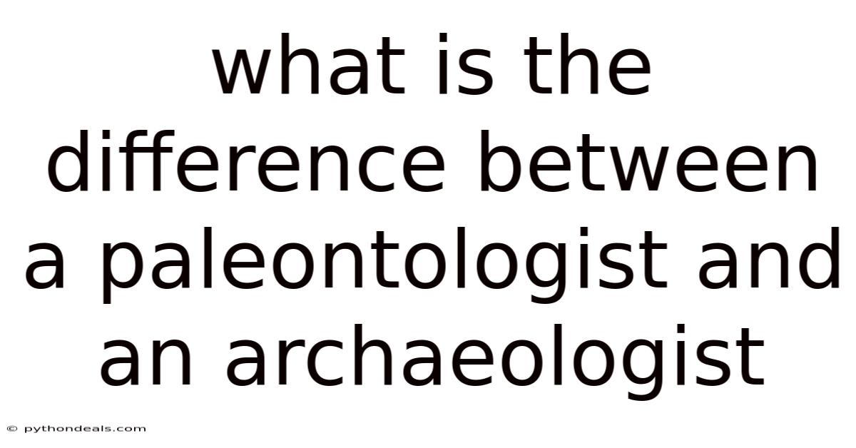 What Is The Difference Between A Paleontologist And An Archaeologist