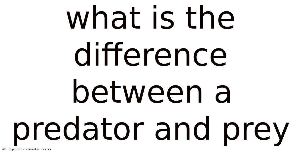 What Is The Difference Between A Predator And Prey