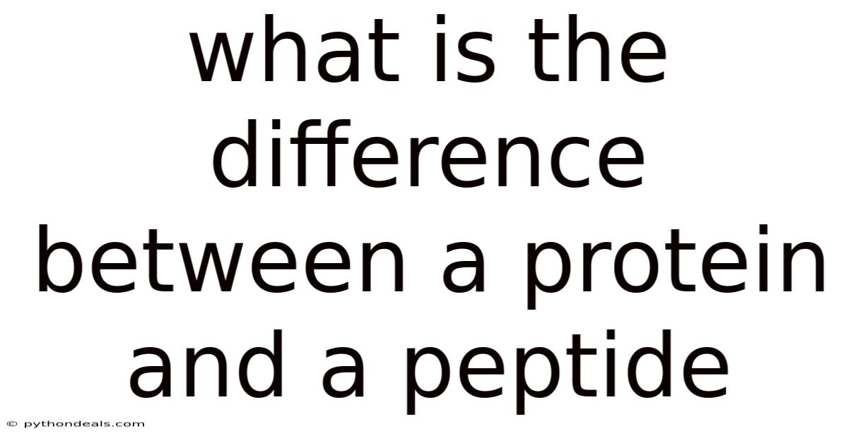What Is The Difference Between A Protein And A Peptide