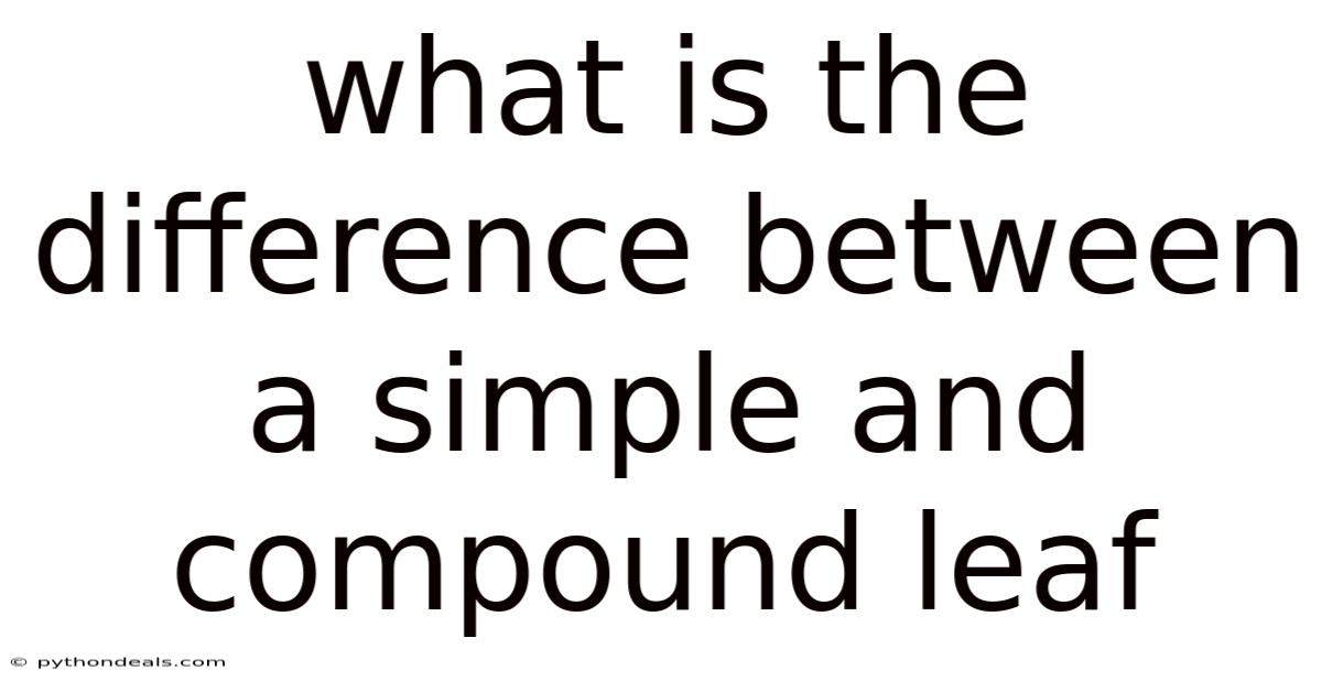 What Is The Difference Between A Simple And Compound Leaf