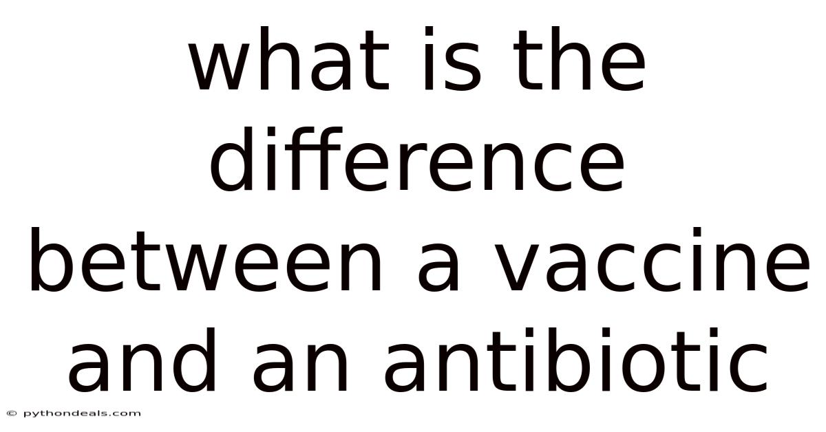 What Is The Difference Between A Vaccine And An Antibiotic