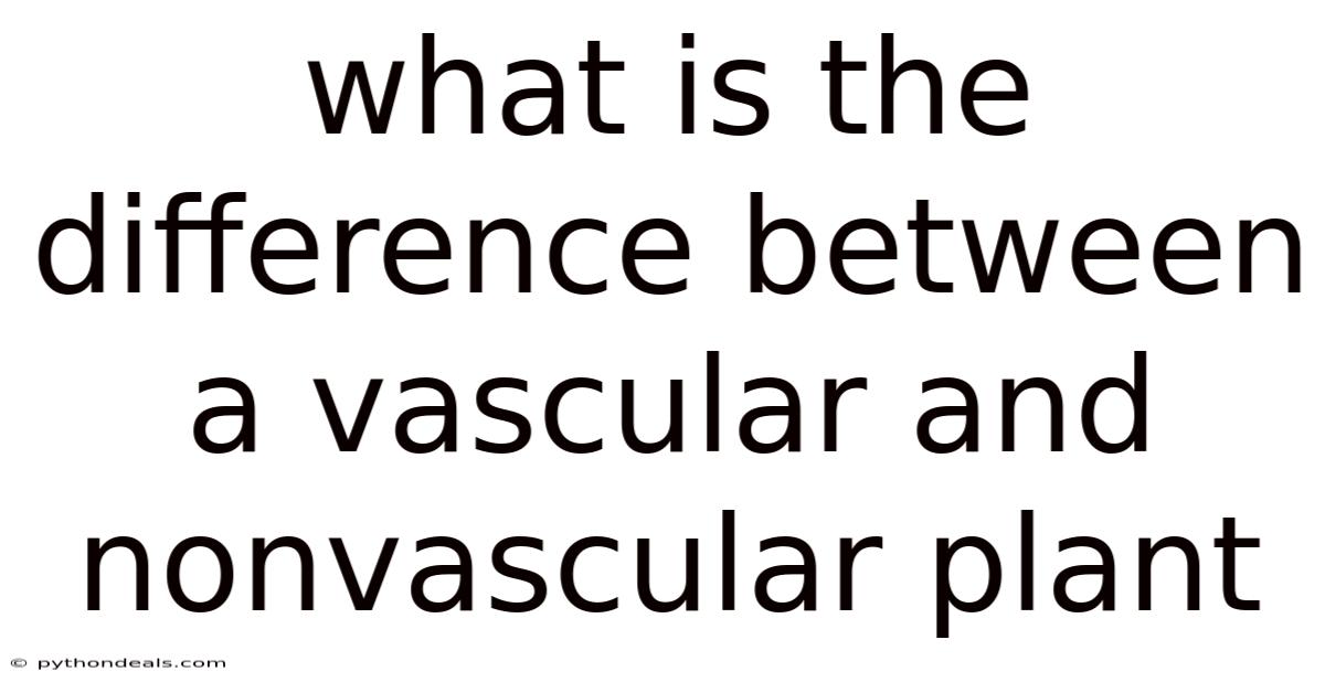What Is The Difference Between A Vascular And Nonvascular Plant