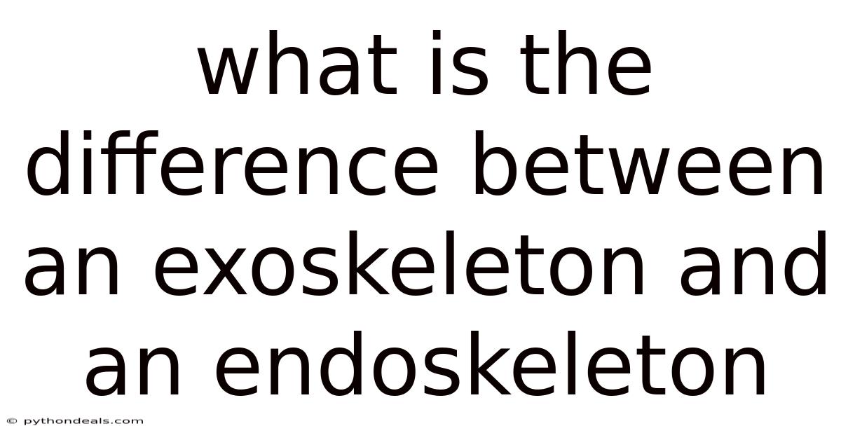 What Is The Difference Between An Exoskeleton And An Endoskeleton