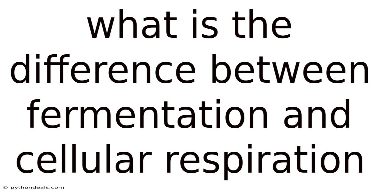 What Is The Difference Between Fermentation And Cellular Respiration