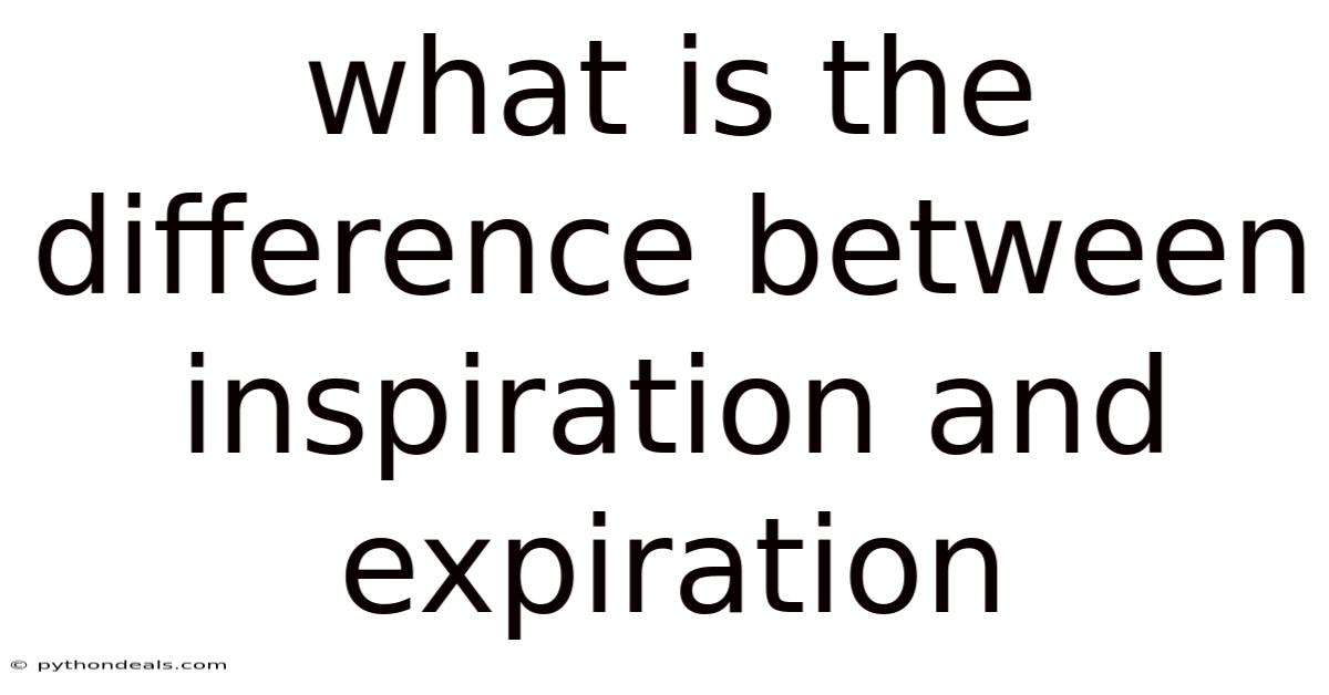 What Is The Difference Between Inspiration And Expiration