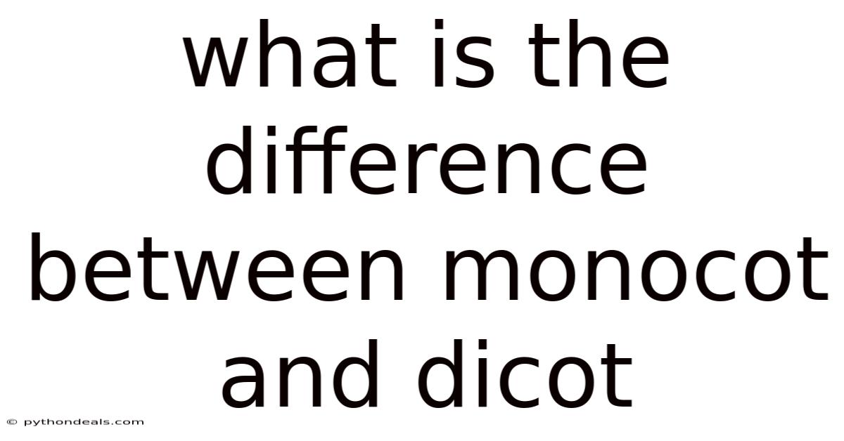 What Is The Difference Between Monocot And Dicot