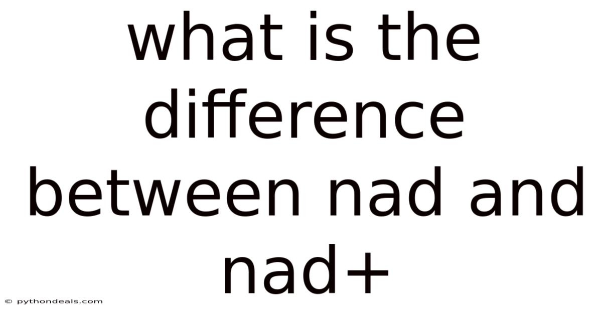 What Is The Difference Between Nad And Nad+