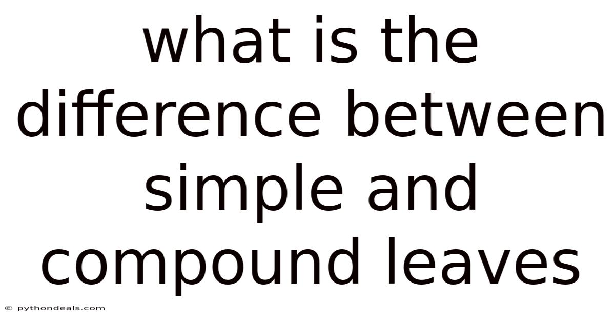 What Is The Difference Between Simple And Compound Leaves